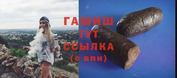 хмурый Алексин