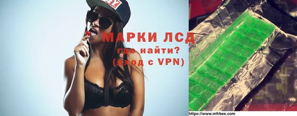 хмурый Алексин