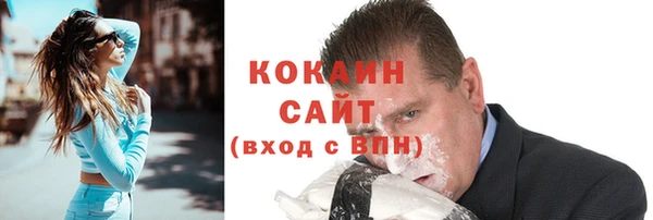 хмурый Алексин