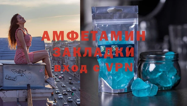 хмурый Алексин