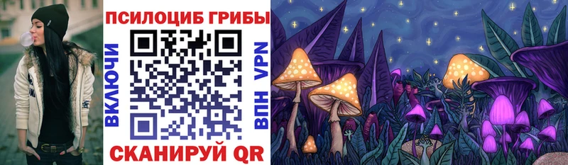 darknet телеграм  Анжеро-Судженск  Галлюциногенные грибы MAGIC MUSHROOMS  хочу наркоту 